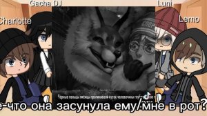 реакция зайчика на ТТ моя первая реакция!