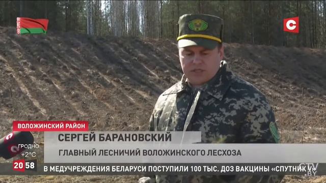 Неделя леса - 2021. Воложинский район. смотреть онлайн