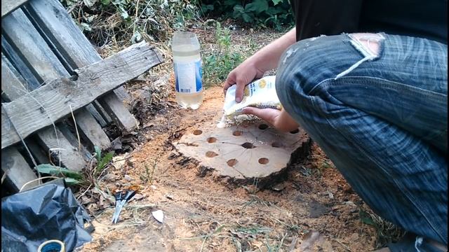 избавиться от пня на садовом участке без корчевания смотреть онлайн