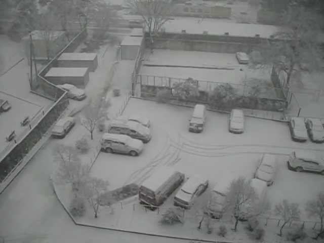 Весна в Адлере. 6 марта 2012. смотреть онлайн