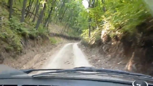 Змеевы горы. Лесная дорога. смотреть онлайн
