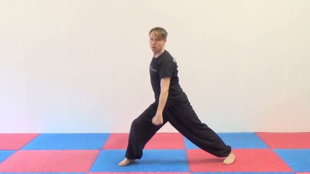 Learn Kung Fu | Choy Li Fut Kung Fu Basic Strikes