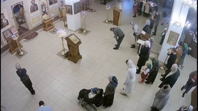 Прямая трансляция