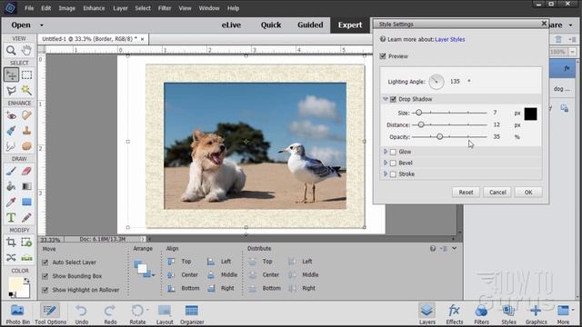 How You Can Add a Border and Frame to Photo using Photoshop Elements смотреть онлайн