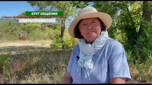 Золотое правило общения смотреть онлайн