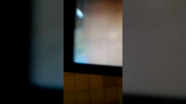 Телефон который я нашла в садике смотреть онлайн