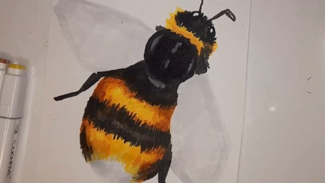Как нарисовать шмеля маркерами? уроки рисования маркерами для начинающих смотреть онлайн