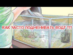 КАК ЧАСТО И КАКОЙ ОБЪЁМ ВОДЫ МЕНЯТЬ В АКВАРИУМЕ ???