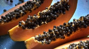 Папайя. Польза и вред для организма.