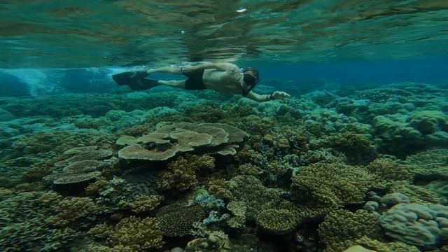 PAPUA NEW GUINEA - UNDISCOVERED PARADISE смотреть онлайн