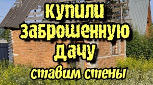 Купили заброшенную дачу.