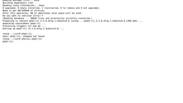 Unable to find php binary (3 Solutions!!) смотреть онлайн