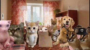 Y2mate.mx-🐱 Выживание шлёпы среди Зомби 🧟_♂️Все сери подряд 🐱.