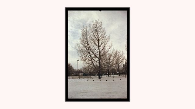 Canon Zoom 28-80 f/3.5-5.6 lens test photos смотреть онлайн