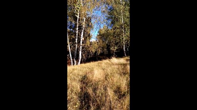 Посадка Дубов смотреть онлайн