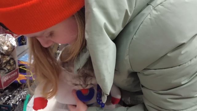 ДЕНЬ РОЖДЕНИЯ КОТА КЕВИНА! СКУПАЕМ ВСЁ, ЧТО ПОНЮХАЕТ КОТ! С КОТОМ ВХОД РАЗРЕШЁН! смотреть онлайн