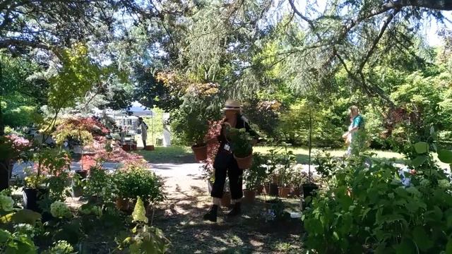 Mariangela Molinari, giornalista botanica, ci parla di ortensie a Fiorissima, Ovada (AL) смотреть онлайн