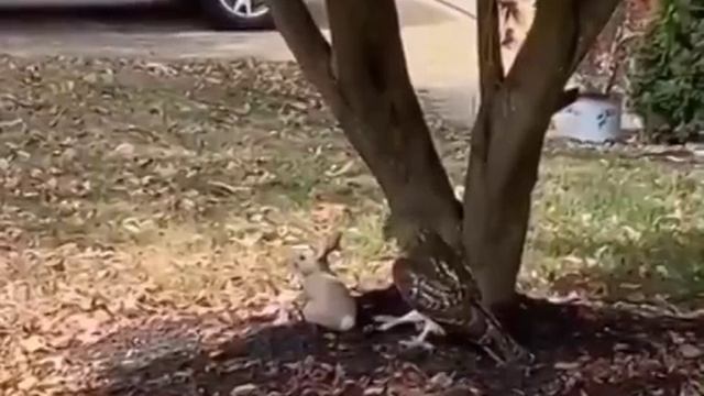 какой облом смотреть онлайн