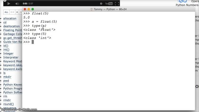 float() built-in function in Python смотреть онлайн