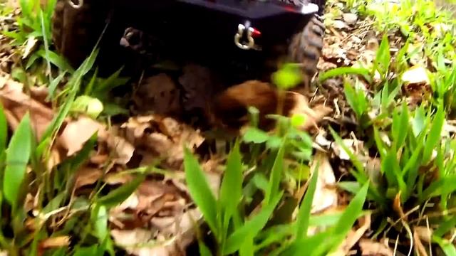 RC Patrol - The Sketch Box - Debut Ride - Axial SCX10 - Pro-Line Racing Equipped смотреть онлайн