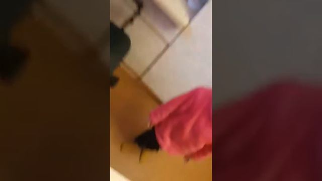 Что нужно настоящей девушке?Куча шмоток и больше, лучше!!! смотреть онлайн