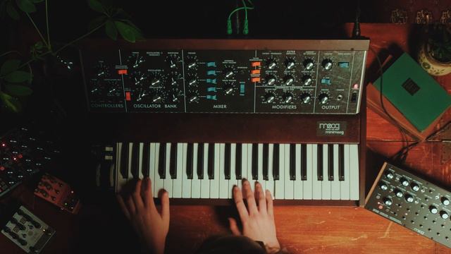 Moog Minimoog Model D Analog Synthesizer | Russo Music