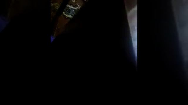 У нас появился хомяк (сирийский) смотреть онлайн