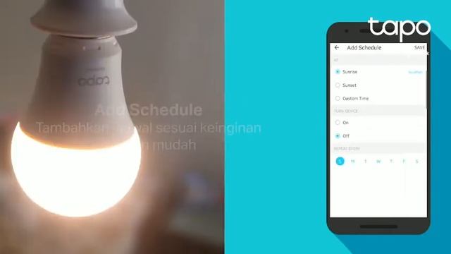 Tapo L510E. смотреть онлайн
