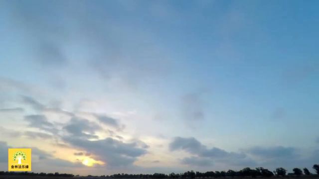 2022年10月18日 佛日:早课、转法轮经、静坐、求五戒或八戒、供养斋僧 | 金林法乐缘 | 白璞法师 смотреть онлайн