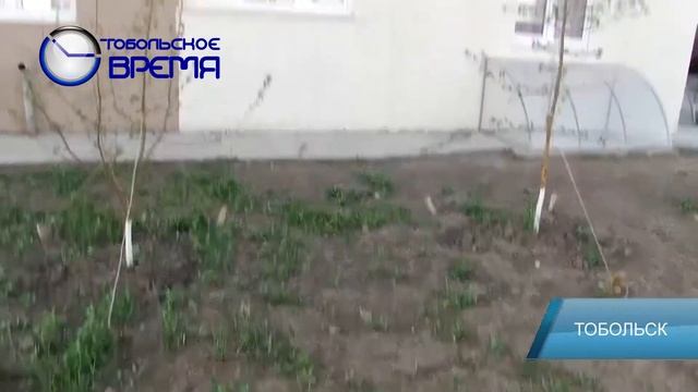 ВЫБРОСИЛИ КОТЯТ С БАЛКОНА смотреть онлайн