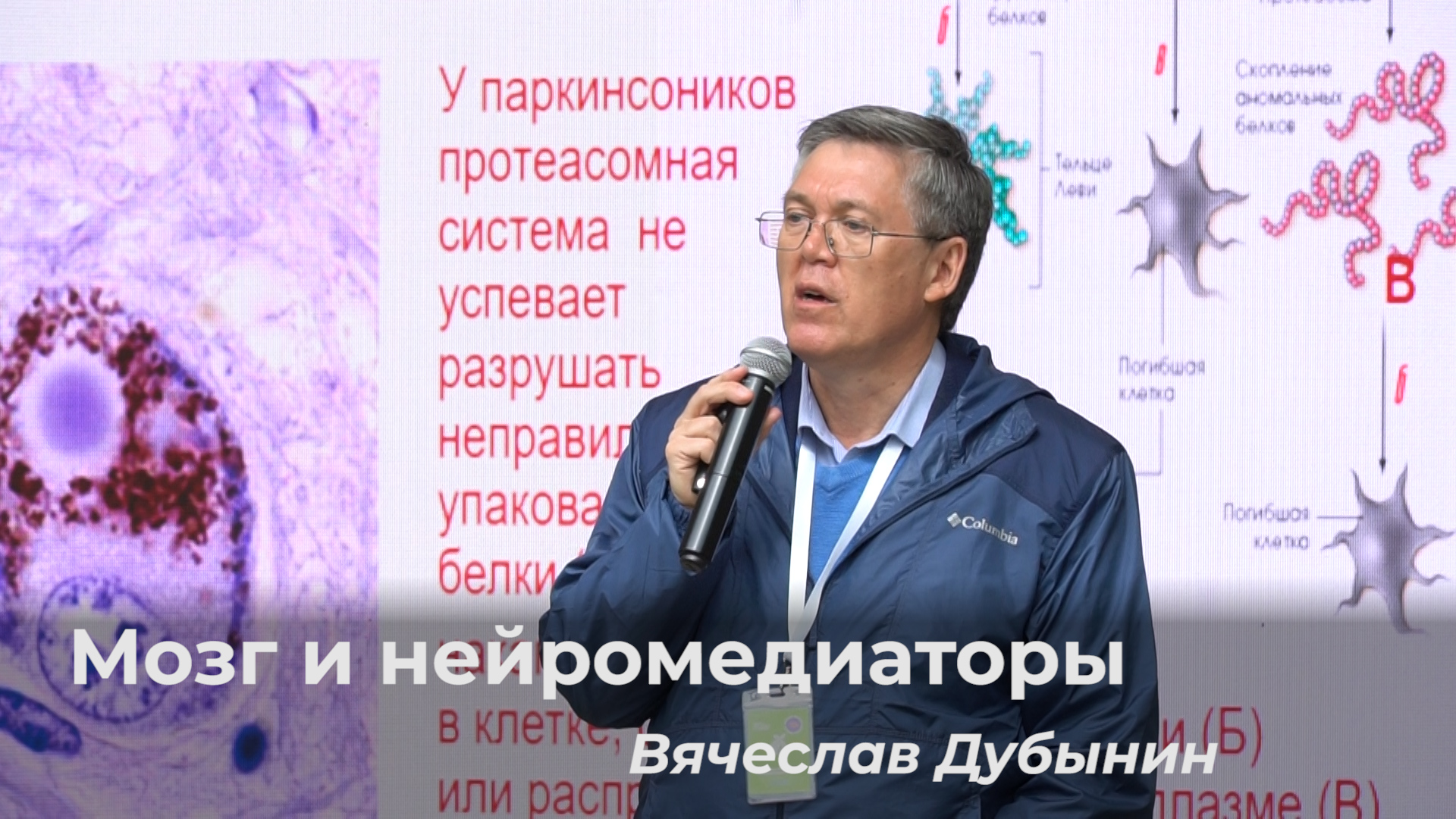 Вячеслав Дубынин – Мозг и нейромедиаторы смотреть онлайн