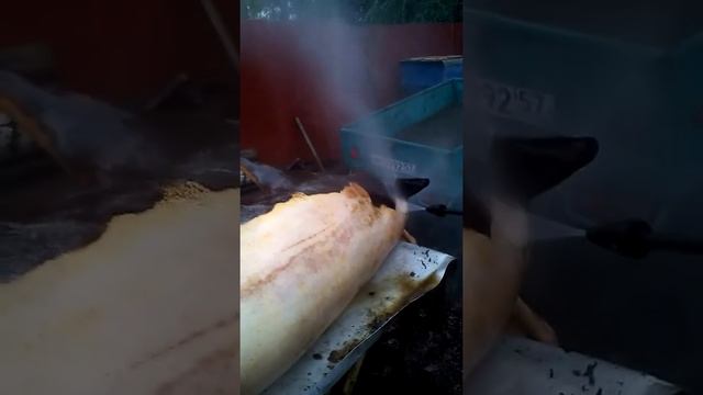 Как почистить свинью кёрхером смотреть онлайн