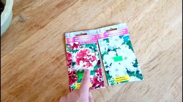 ПОСЕВ ПЕТУНИЙ, февраль, растущая луна. смотреть онлайн