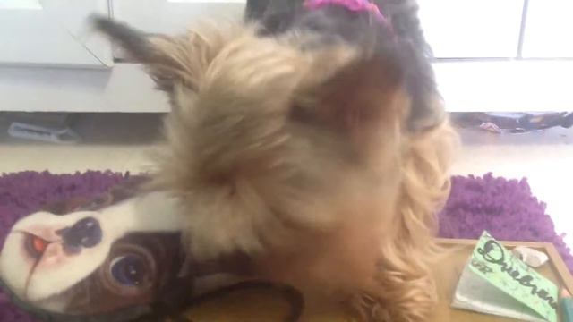 Тата и Ника в школе