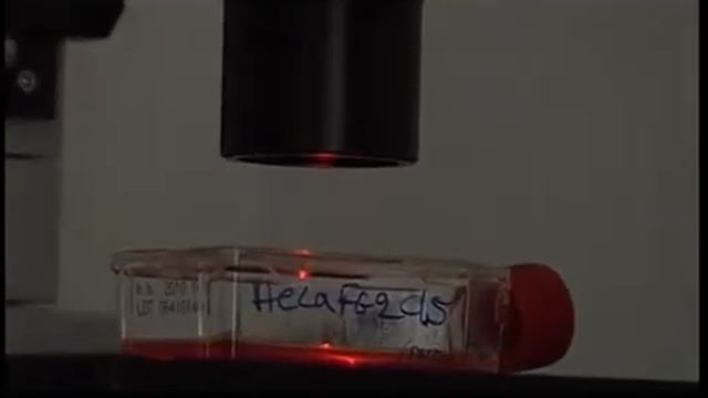 Institute Of Molecular Biology And Biotechnology (IMBB)