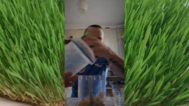 Вкусное утро Рождества😋 смотреть онлайн