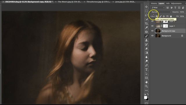 Painterly Edit in Lr, PS, and Alien Skin смотреть онлайн