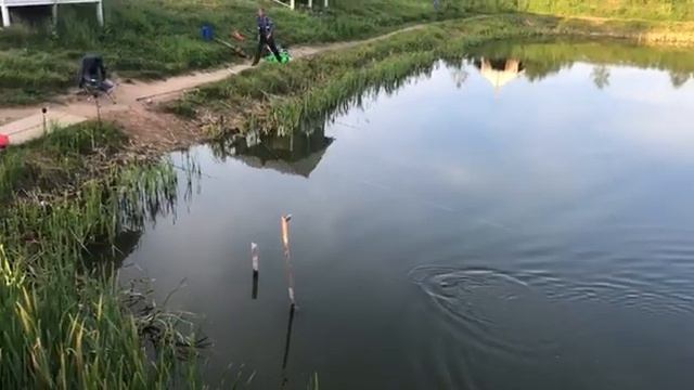 13 июня 2023 г. смотреть онлайн