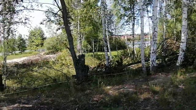 Участок в СНТ "Первоцвет" смотреть онлайн