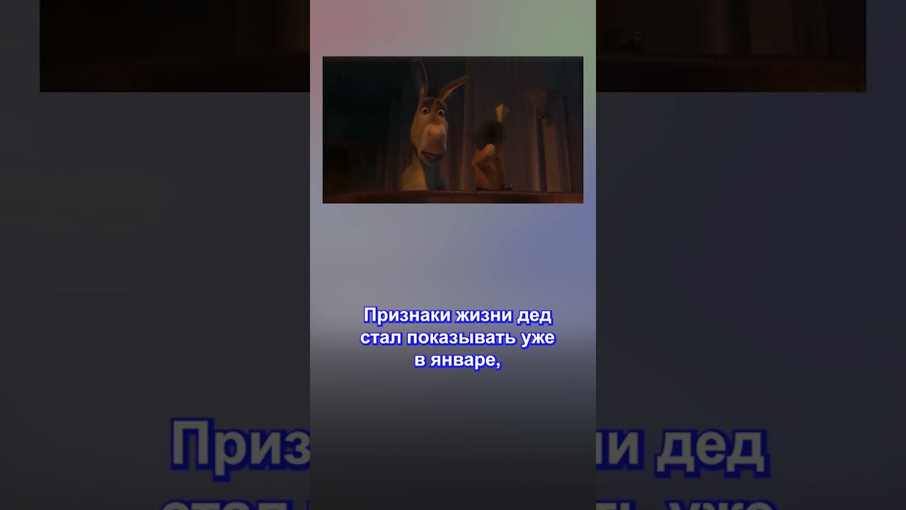 Bitcoin жив: анализ роста криптовалюты смотреть онлайн