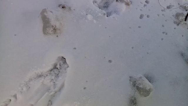 Рыбалка на жерлици, разведую новые места. смотреть онлайн