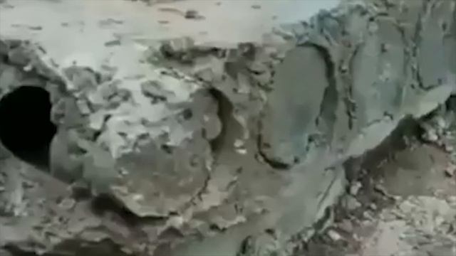 Котенка-крохотулю спасли из бетонного бункера смотреть онлайн