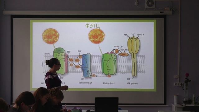 Фотосинтез. Углубленный уровень. Биология 10 класс. БиоФорум в Пущино. смотреть онлайн
