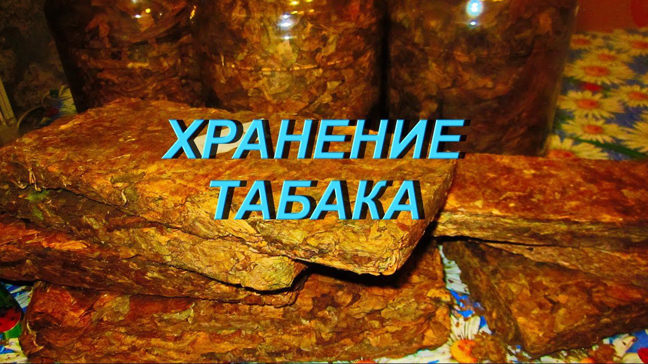 ДНЕВНИК ТАБАКОВОДА № 56 (19.10. Хранение табака ) ТАБАК смотреть онлайн