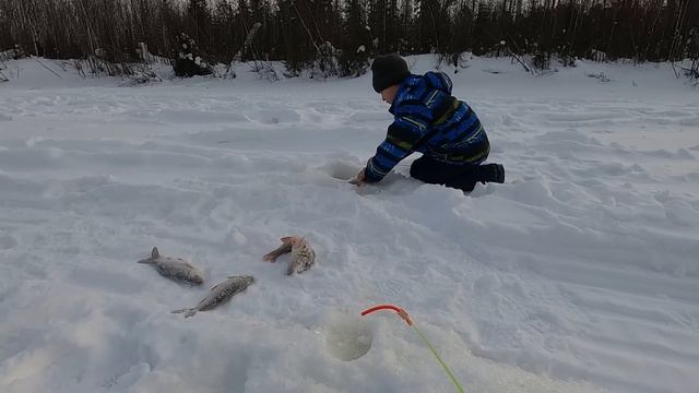 ЕТЫ-ПУР БЕЗ РЫБЫ В ЭТОТ РАЗ НАС НЕ ОСТАВИЛ! ЛУНКА НА ЛУНКЕ ВСЕ ХОТЯТ ОКУНЯ, ПОПУЛЯРНОЕ РЫБНОЕ МЕСТЕ