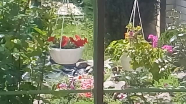 ЖЕЛАЕТЕ ВЫЙТИ ЗАМУЖ - СМОТРИТЕ СРОЧНО И 100% ОДИНОЧЕСТВО ВАМ НЕ ГРОЗИТ 20.05.2019 смотреть онлайн