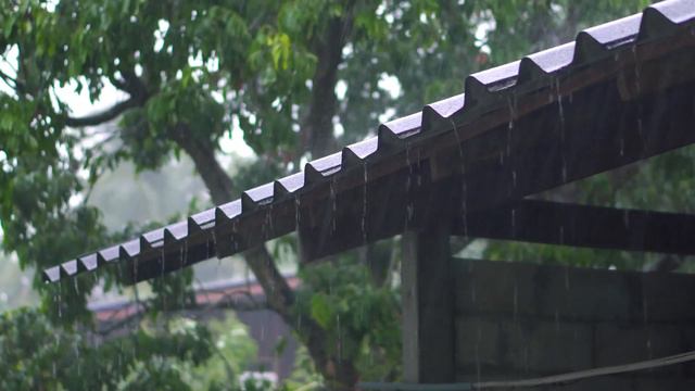 Шум Дождя и Раскаты Грома Для Сна! Погрузитесь в Глубокий Сон Под Звуки Дождя с Грозой