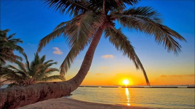 Meditaçao So Ham смотреть онлайн
