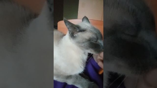 Как я тебя понимаю,Луночка смотреть онлайн