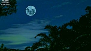 ?Музыка для Глубокого Сна - Расслабляющая Музыка для Спа, Медитации, Снятия Стресса и Отдыха.